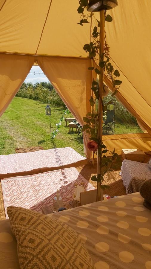Hopgarden Glamping - Luxury 6M Bell Tent Wadhurst エクステリア 写真