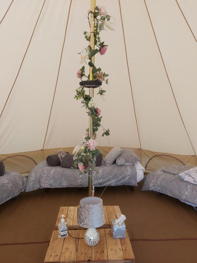 Hopgarden Glamping - Luxury 6M Bell Tent Wadhurst エクステリア 写真
