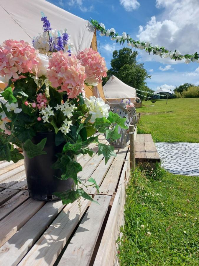 Hopgarden Glamping - Luxury 6M Bell Tent Wadhurst エクステリア 写真