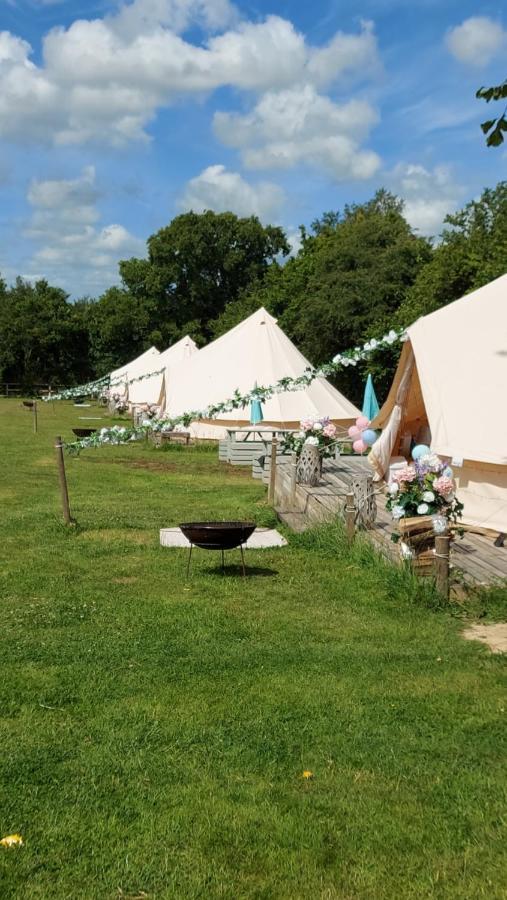 Hopgarden Glamping - Luxury 6M Bell Tent Wadhurst エクステリア 写真