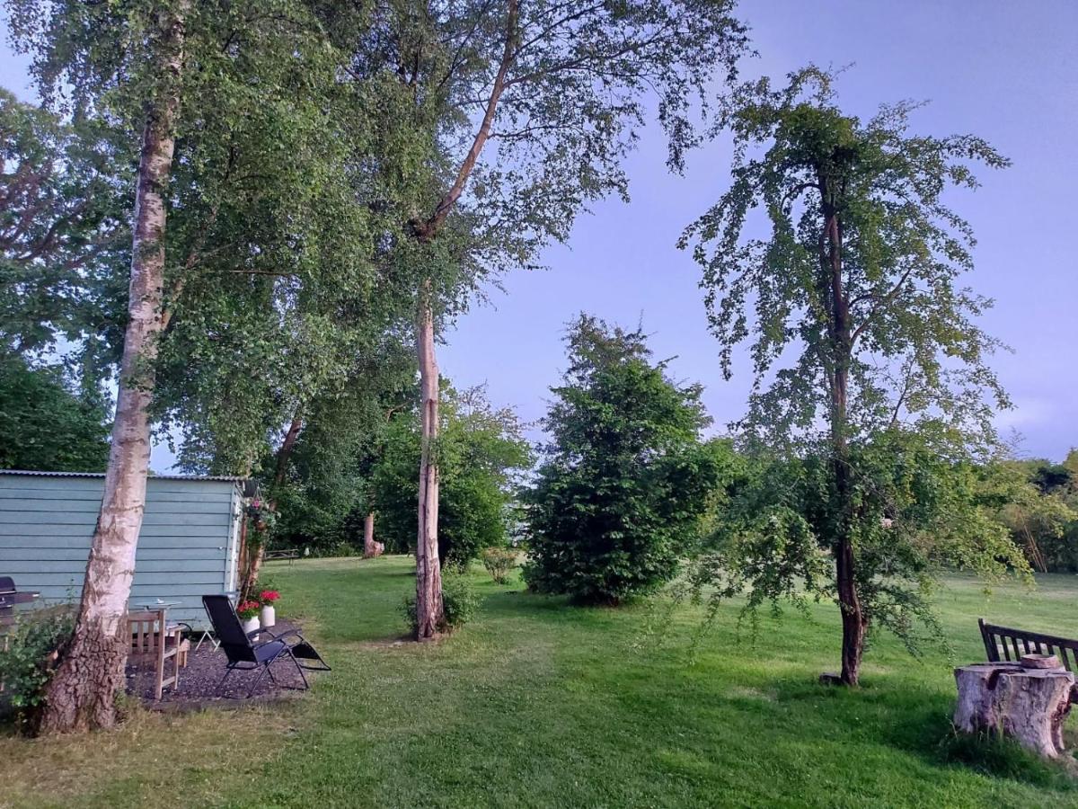 Hopgarden Glamping - Luxury 6M Bell Tent Wadhurst エクステリア 写真